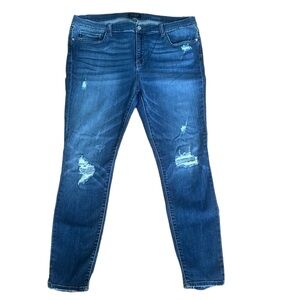 Judy Blue Distressed Skinny Fit Jeans 3X